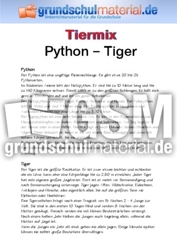 Python - Tiger.pdf
